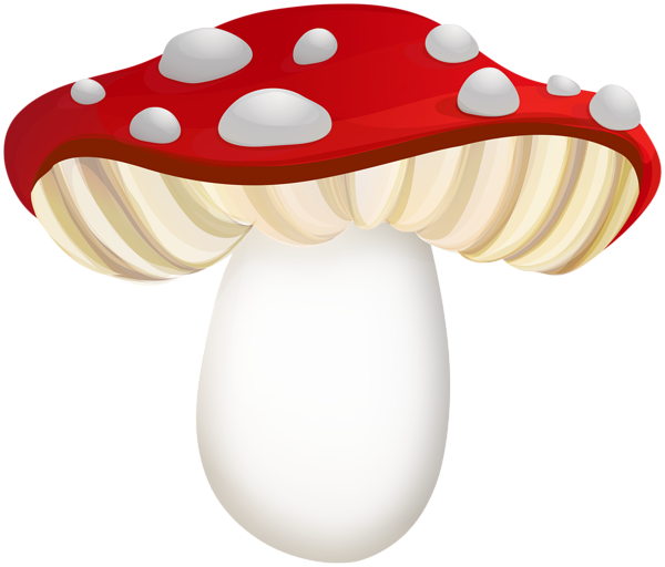 Amanita PNG image with transparent background | amanita_PNG15.png