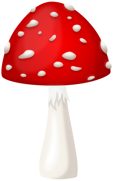 Amanita PNG image with transparent background | amanita_PNG16.png