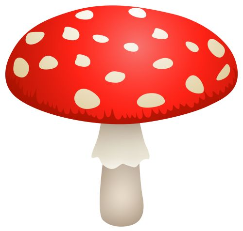 Amanita PNG image with transparent background | amanita_PNG22.png