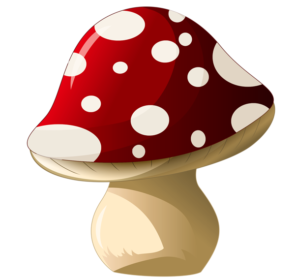 Amanita PNG image with transparent background | amanita_PNG10.png