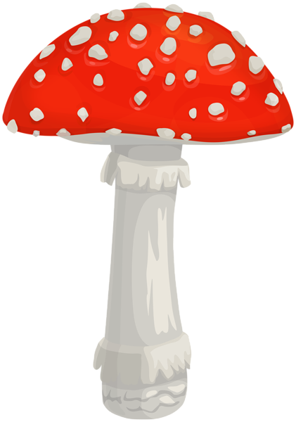 Amanita PNG image with transparent background | amanita_PNG7.png