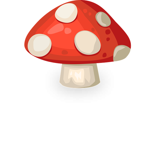 Amanita PNG image with transparent background | amanita_PNG26.png