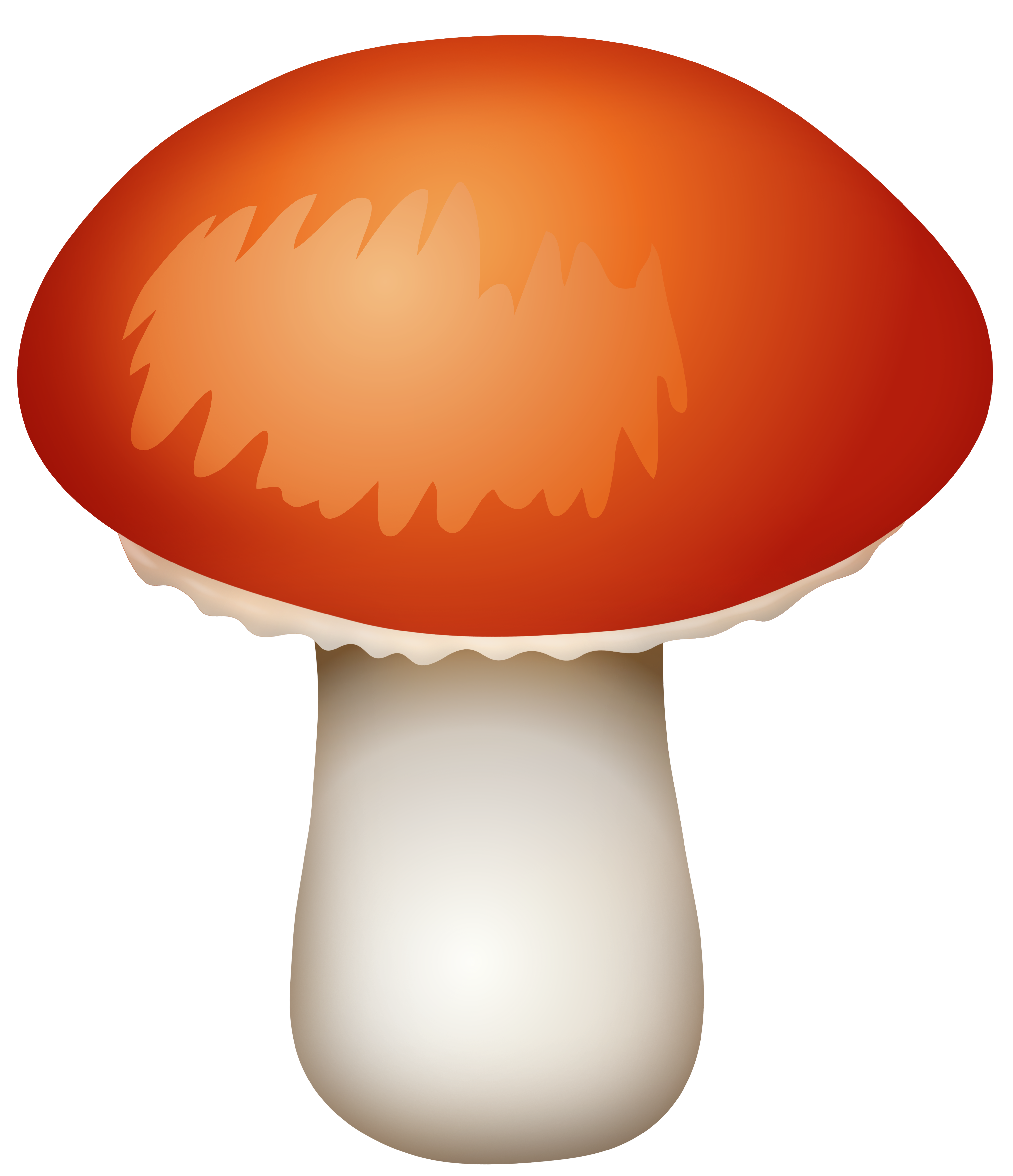 Amanita PNG image with transparent background | amanita_PNG14.png