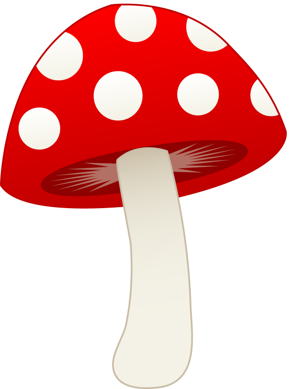 Amanita PNG image with transparent background | amanita_PNG21.png
