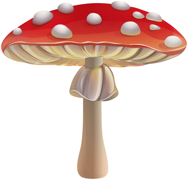 Amanita PNG image with transparent background | amanita_PNG8.png