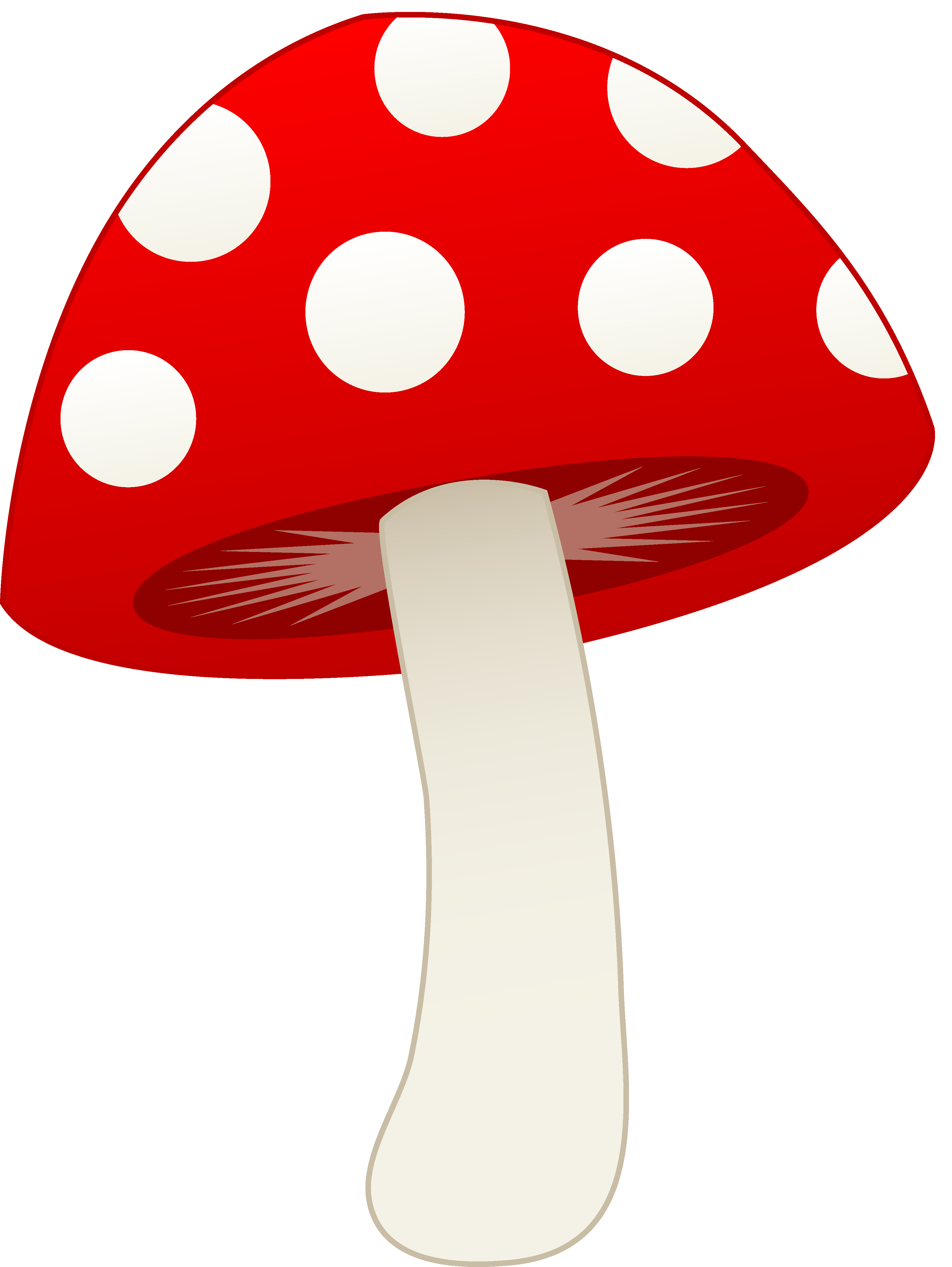 Amanita PNG picture image with transparent background | amanita_PNG39.png