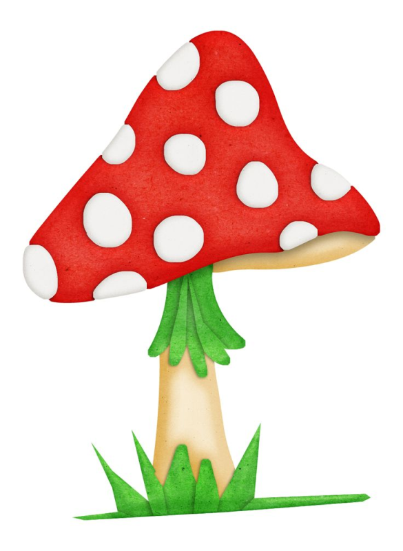 Amanita PNG image with transparent background | amanita_PNG29.png