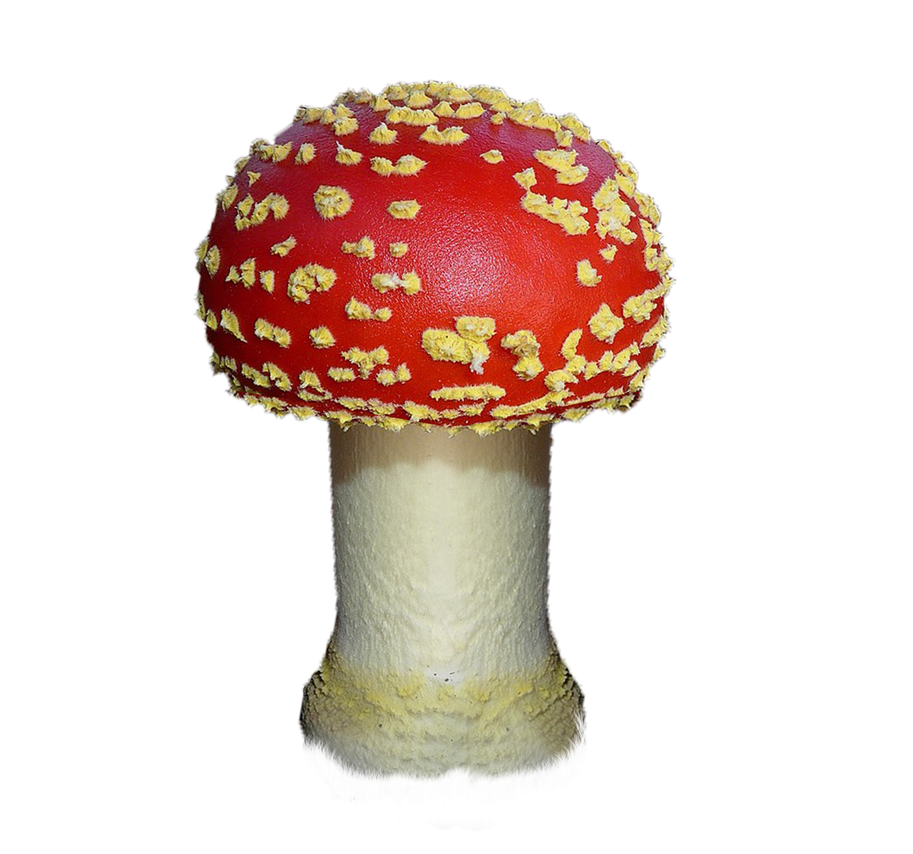 Amanita PNG small image with transparent background | amanita_PNG41.png