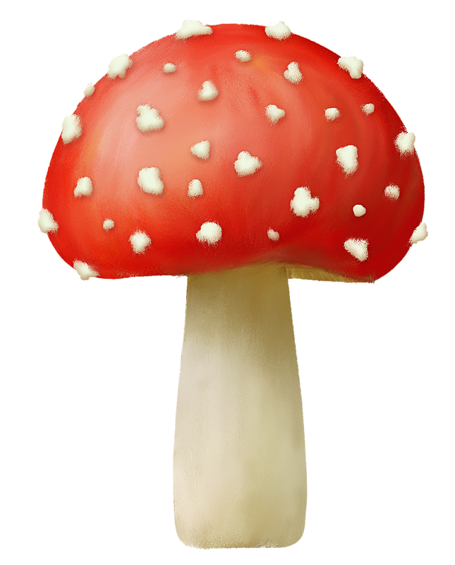 Amanita PNG image with transparent background | amanita_PNG27.png