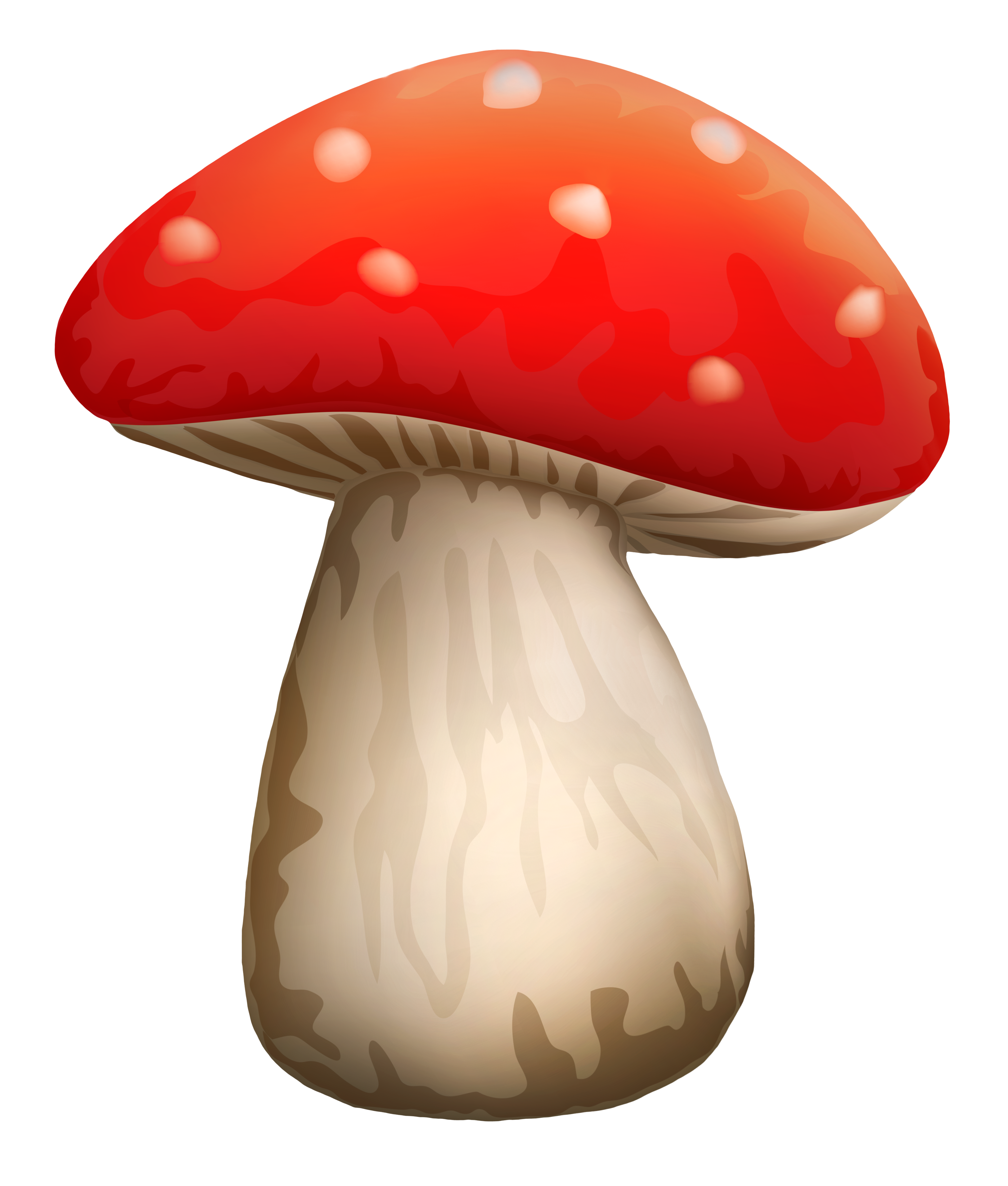 Amanita PNG image with transparent background | amanita_PNG13.png