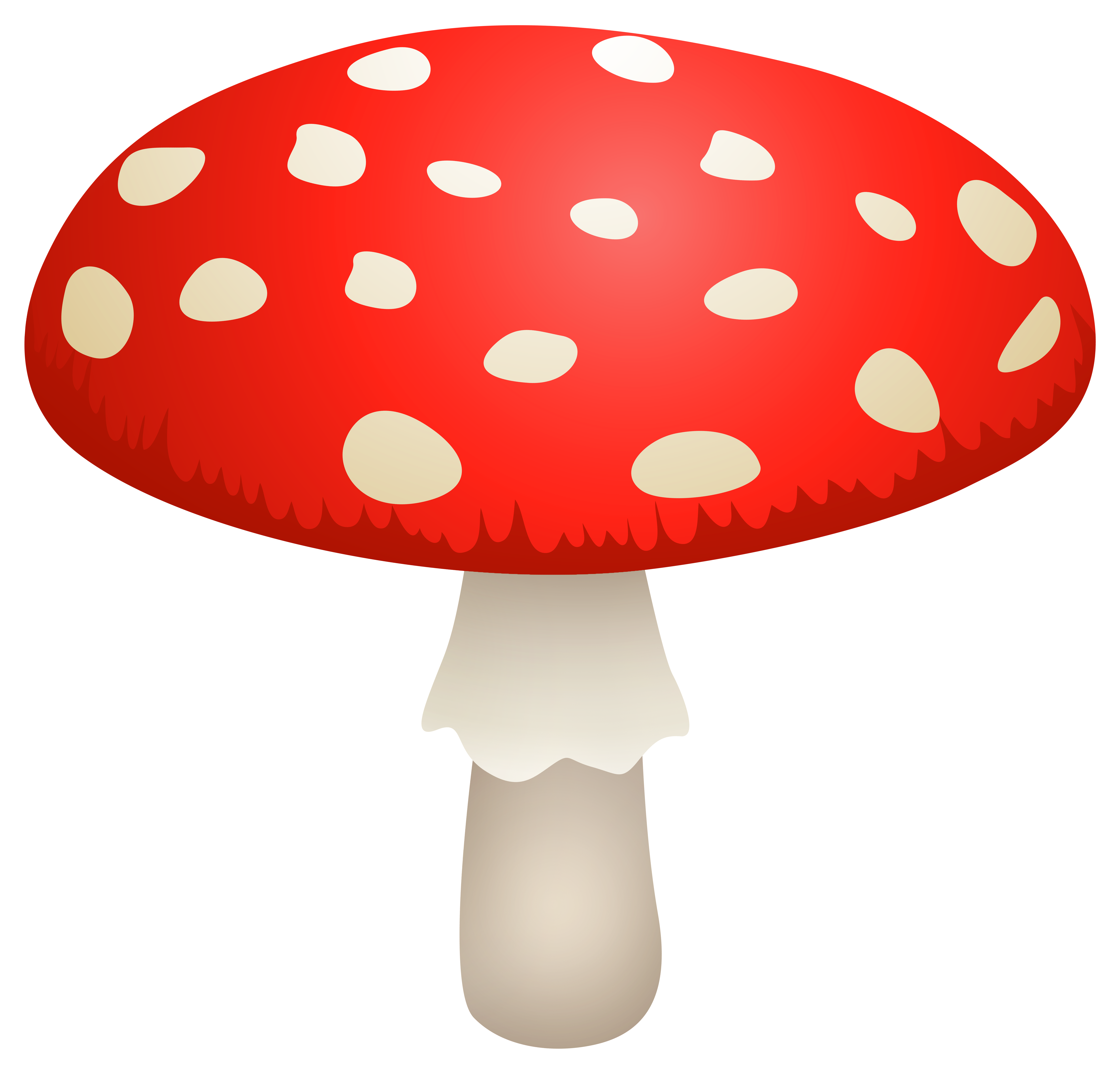 Amanita PNG image with transparent background | amanita_PNG3.png