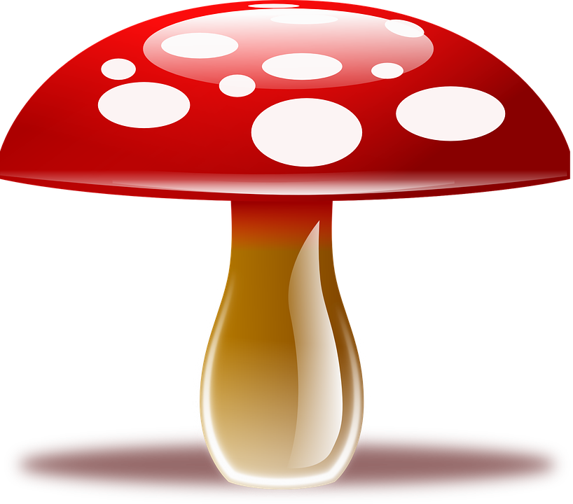 Amanita PNG image with transparent background | amanita_PNG6.png