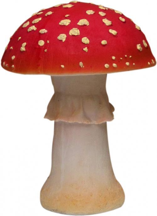 Amanita PNG image with transparent background | amanita_PNG28.png